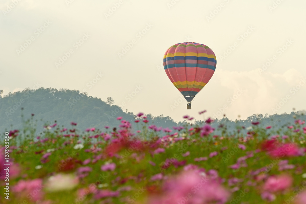 Fototapeta premium balloon or hot air