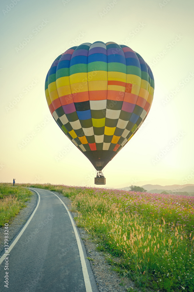 Fototapeta premium balloon or hot air