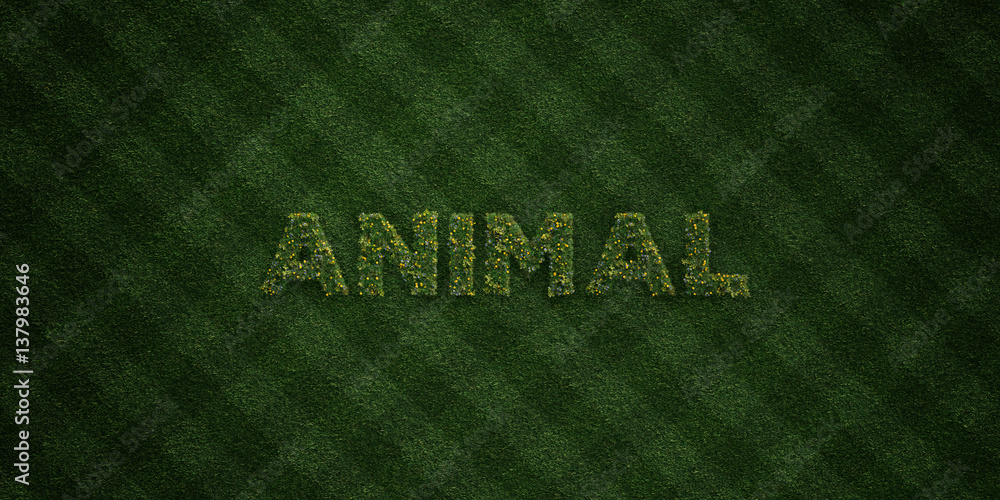 ANIMAL - fresh Grass letters with flowers and dandelions - 3D rendered royalty free stock image. Can be used for online banner ads and direct mailers.. ANIMAL - fresh Grass letters with flowers and dandelions - 3D rendered royalty free stock image. Can be used for online banner ads and direct mailers..