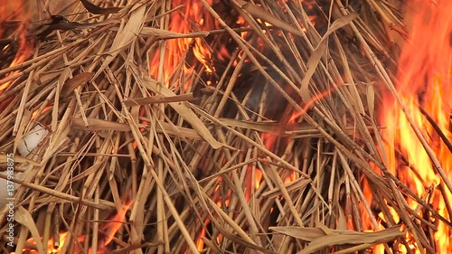 Stack of dry grass on fire
