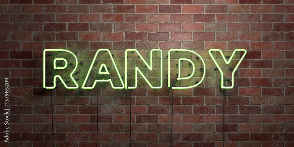 Obraz premium RANDY - fluorescent Neon tube Sign on brickwork - Front view - 3D rendered royalty free stock picture. Can be used for online banner ads and direct mailers..