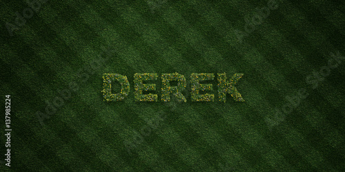Obraz na plátně DEREK - fresh Grass letters with flowers and dandelions - 3D rendered royalty free stock image