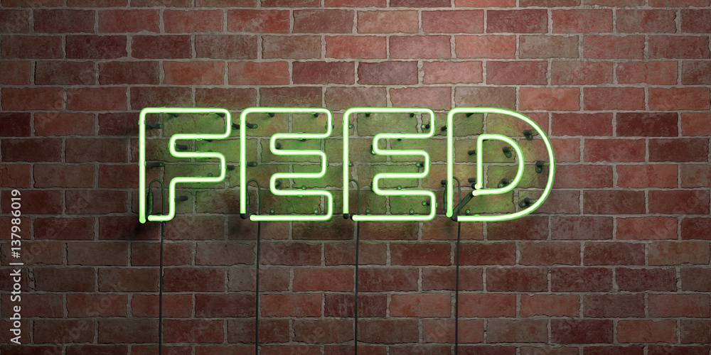 Fototapeta premium FEED - fluorescent Neon tube Sign on brickwork - Front view - 3D rendered royalty free stock picture. Can be used for online banner ads and direct mailers..