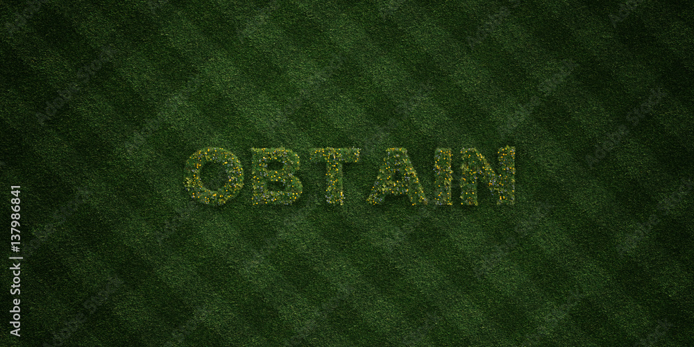 OBTAIN - fresh Grass letters with flowers and dandelions - 3D rendered royalty free stock image. Can be used for online banner ads and direct mailers.. OBTAIN - fresh Grass letters with flowers and dandelions - 3D rendered royalty free stock image. Can be used for online banner ads and direct mailers..