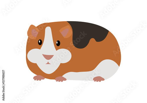 Guinea Pig Cavia Porcellus Isolated Cartoon Animal