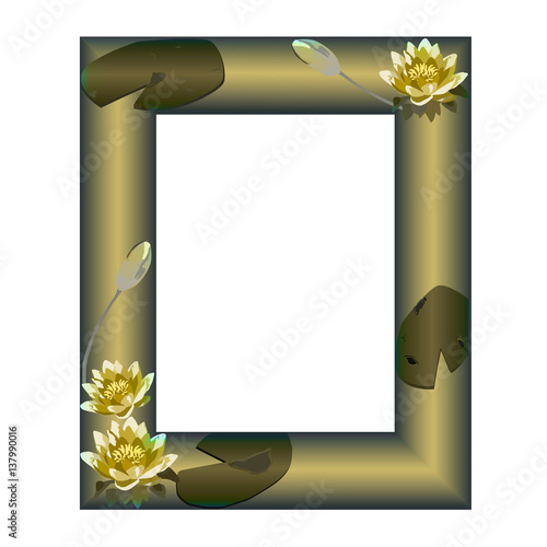 Frame with flowers of a water-lily