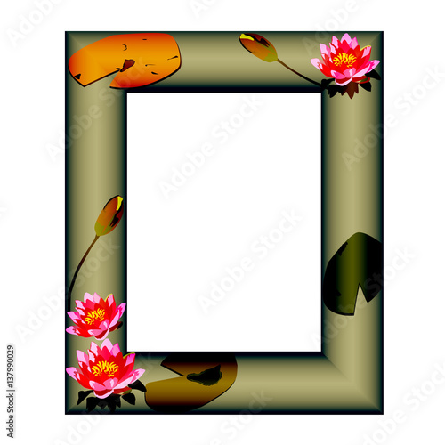 Frame with flowers of a water-lily