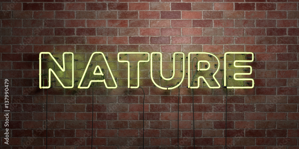 NATURE - fluorescent Neon tube Sign on brickwork - Front view - 3D rendered royalty free stock picture. Can be used for online banner ads and direct mailers.. NATURE - fluorescent Neon tube Sign on brickwork - Front view - 3D rendered royalty free stock picture. Can be used for online banner ads and direct mailers..