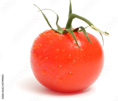 Wallpaper Mural tomato isolated on white background Torontodigital.ca