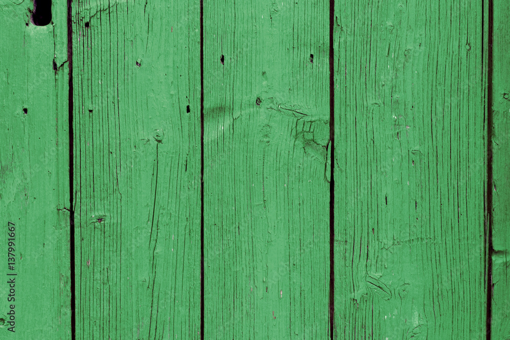 Sfondo in legno verde Sfondo in legno verde