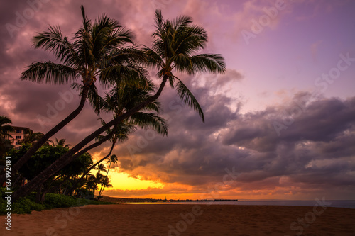 Fototapeta Naklejka Na Ścianę i Meble -  sunrise with two palm trees