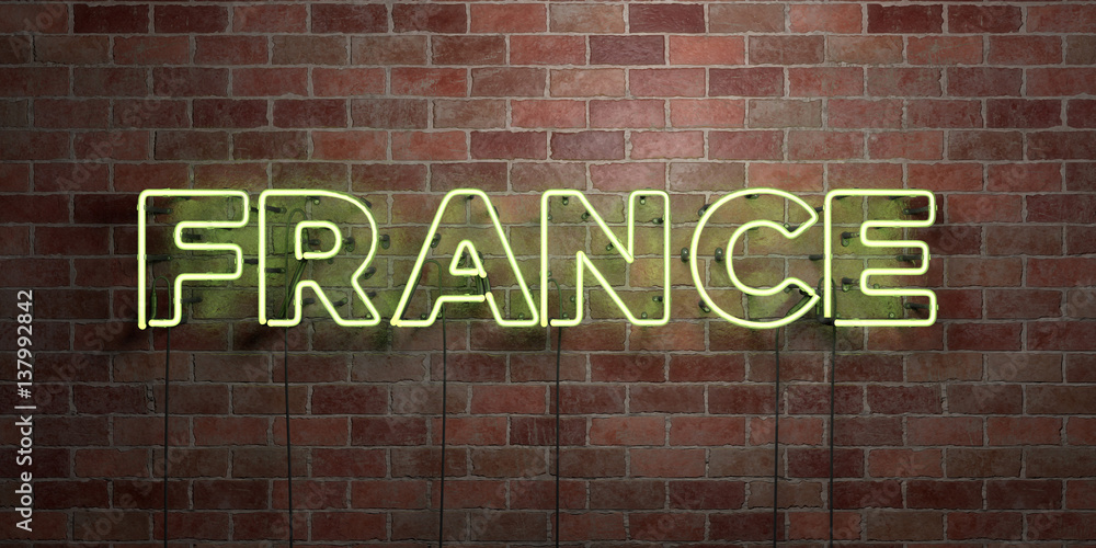 FRANCE - fluorescent Neon tube Sign on brickwork - Front view - 3D rendered royalty free stock picture. Can be used for online banner ads and direct mailers.. FRANCE - fluorescent Neon tube Sign on brickwork - Front view - 3D rendered royalty free stock picture. Can be used for online banner ads and direct mailers..