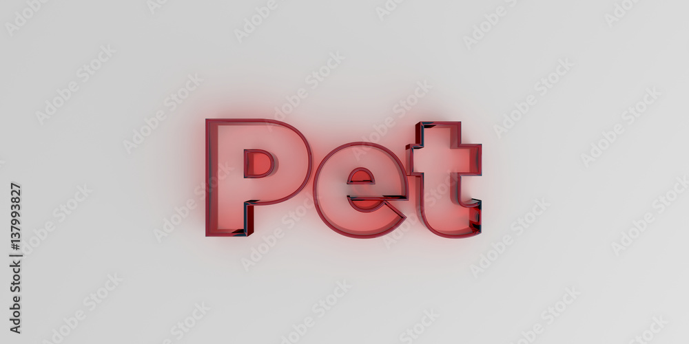 Pet - Red glass text on white background - 3D rendered royalty free stock image.
