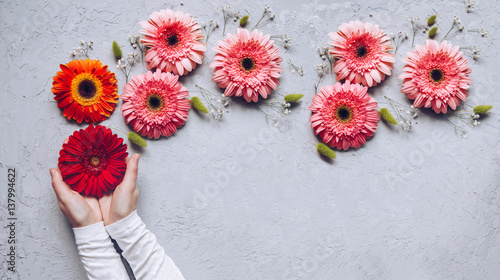 Dreaming concept. Creative Spring bouquet Gerbera flowers in woman hands on the table of concrete texture. 8 march holiday. Design pattern photo