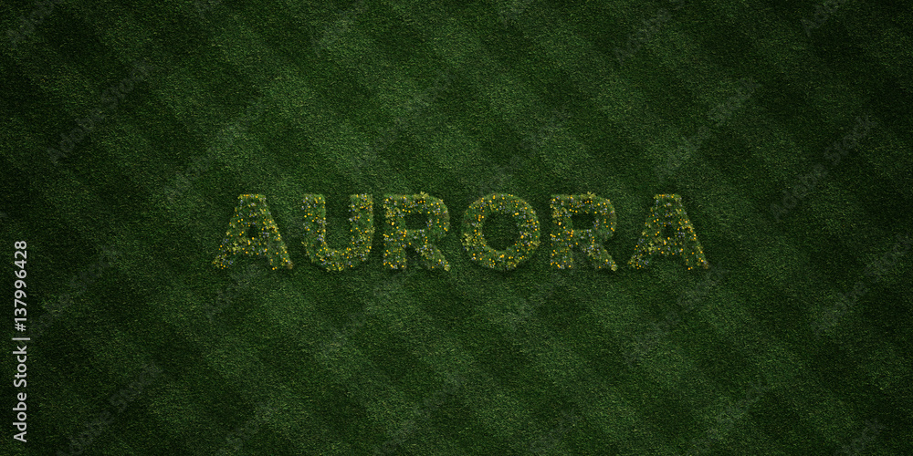 AURORA - fresh Grass letters with flowers and dandelions - 3D rendered royalty free stock image. Can be used for online banner ads and direct mailers.. AURORA - fresh Grass letters with flowers and dandelions - 3D rendered royalty free stock image. Can be used for online banner ads and direct mailers..