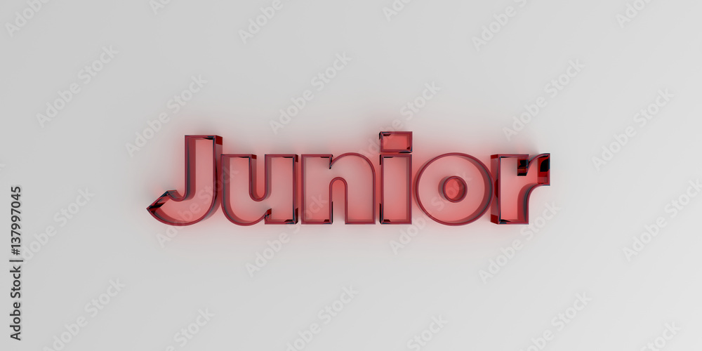 Junior - Red glass text on white background - 3D rendered royalty free stock image. Junior - Red glass text on white background - 3D rendered royalty free stock image.
