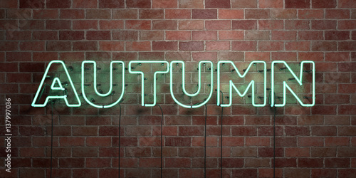 AUTUMN - fluorescent Neon tube Sign on brickwork - Front view - 3D rendered royalty free stock picture. Can be used for online banner ads and direct mailers..