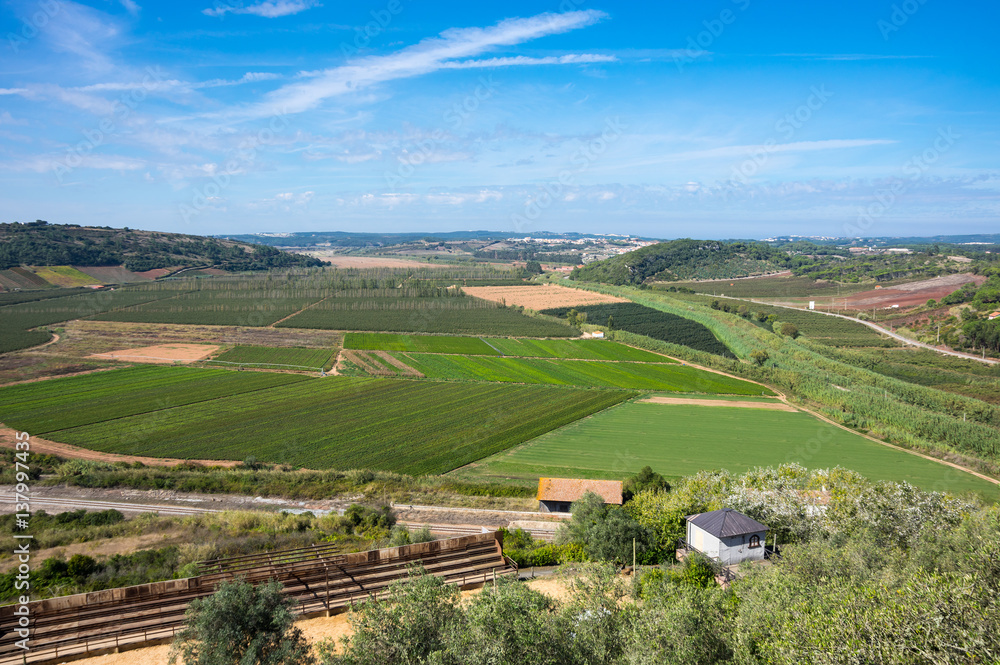 Fields of Portugal Fields of Portugal
