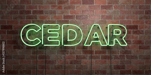 CEDAR - fluorescent Neon tube Sign on brickwork - Front view - 3D rendered royalty free stock picture. Can be used for online banner ads and direct mailers..