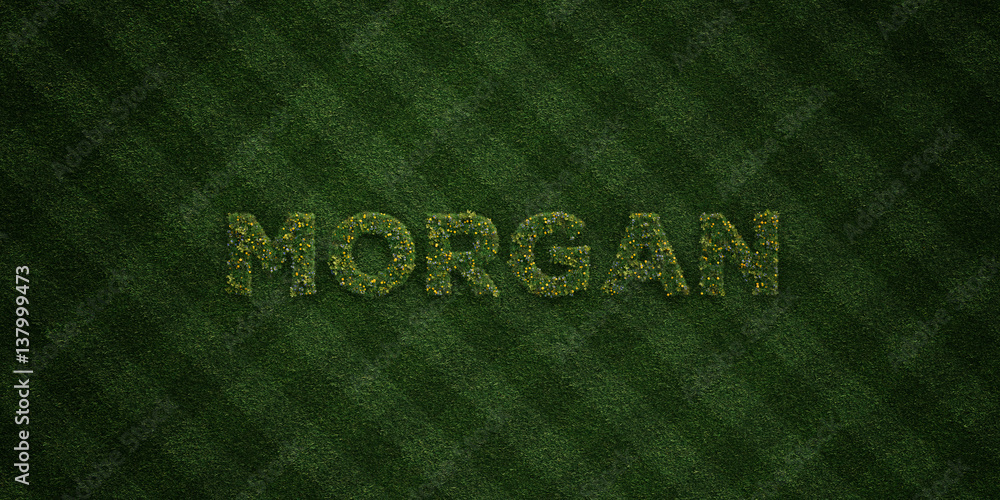 MORGAN - fresh Grass letters with flowers and dandelions - 3D rendered royalty free stock image. Can be used for online banner ads and direct mailers.. MORGAN - fresh Grass letters with flowers and dandelions - 3D rendered royalty free stock image. Can be used for online banner ads and direct mailers..