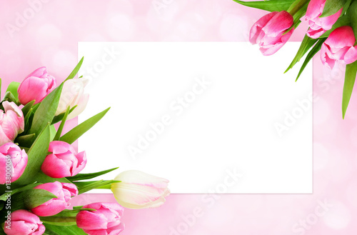 Pink tulip flowers corners and white card