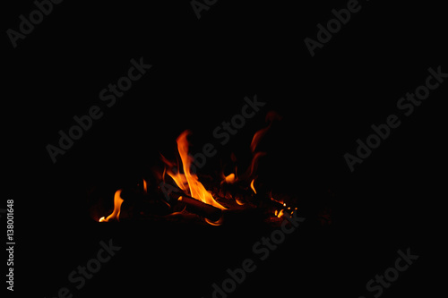 Natural wood camp fire © BetiBup33