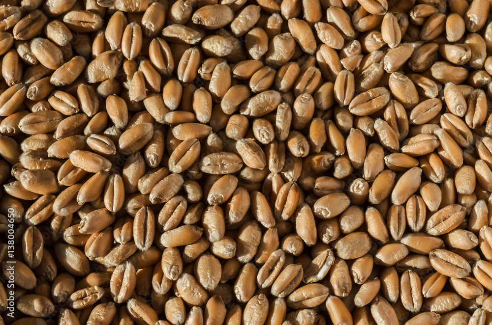 Wheat grain texture close up. Wheat grain texture close up.