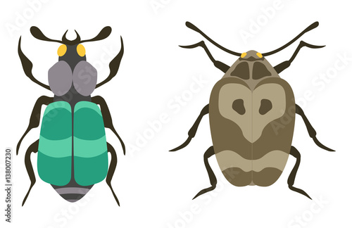 Insect icon flat isolated vector illustration.