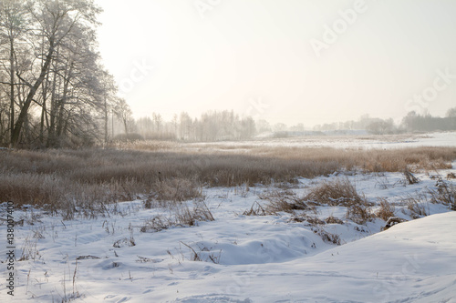 Winter landscape - meadow covered with snow © teine