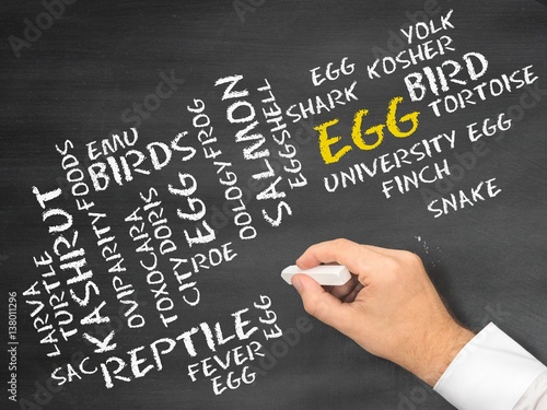 Egg