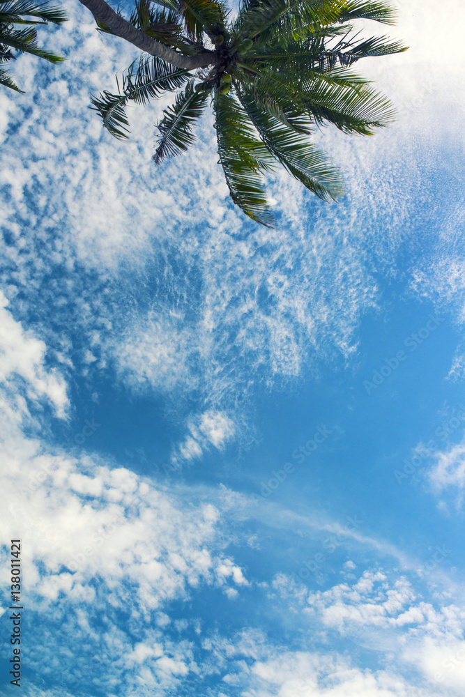 sky