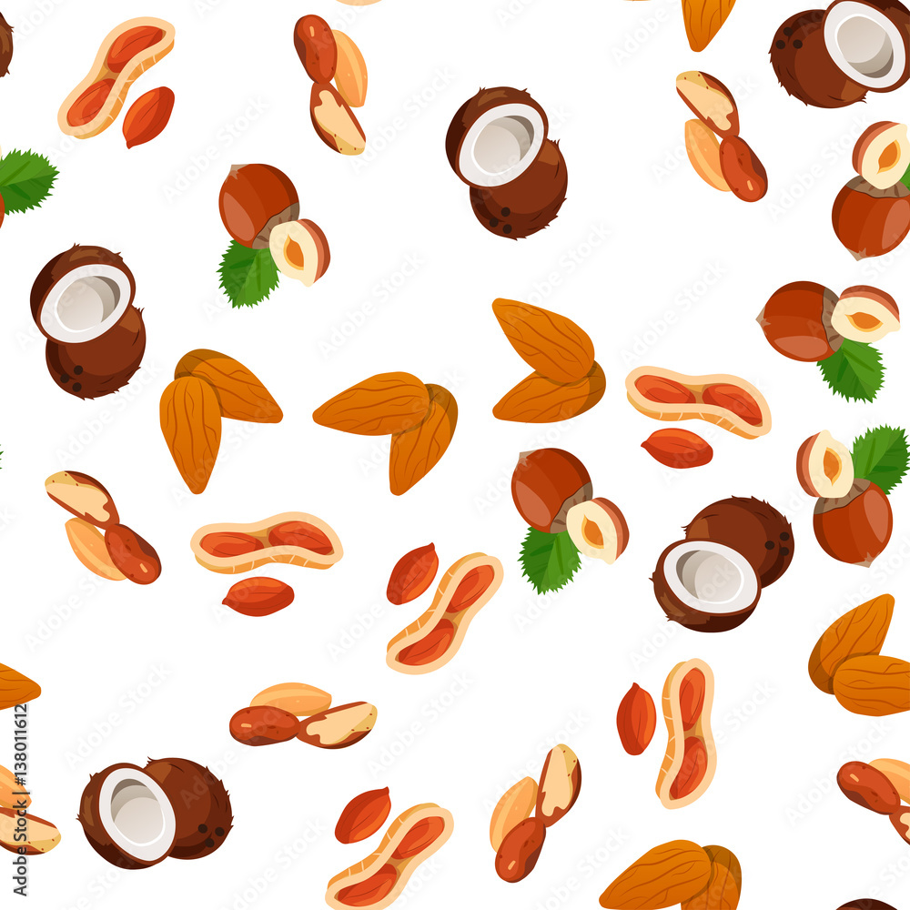 illustration of nuts illustration of nuts