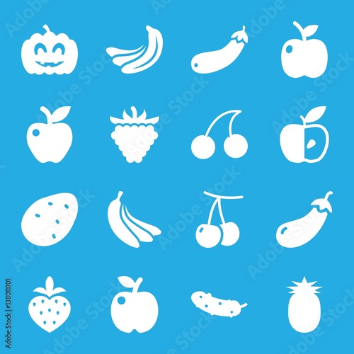 Set of 16 ripe filled icons