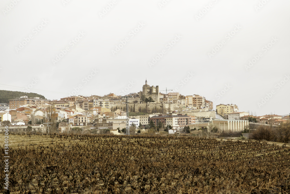 Fototapeta premium Village landscape and vineyards