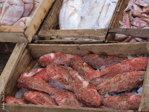 marché aux poissons au Maroc photo