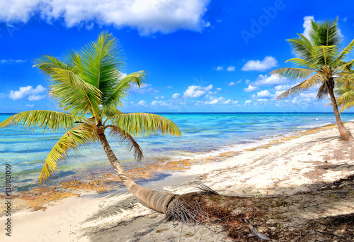 Fototapeta Naklejka Na Ścianę i Meble -  Tropical scenery. Beautiful palm beach with turquoise waters and white sand. Tropical vacations. Relaxing tropical holidays. Idyllic tropical scene. Saona Island, Dominican Republic
