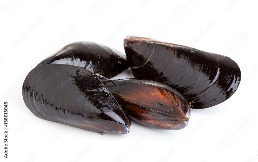 Black mussels isolated on white background Black mussels isolated on white background