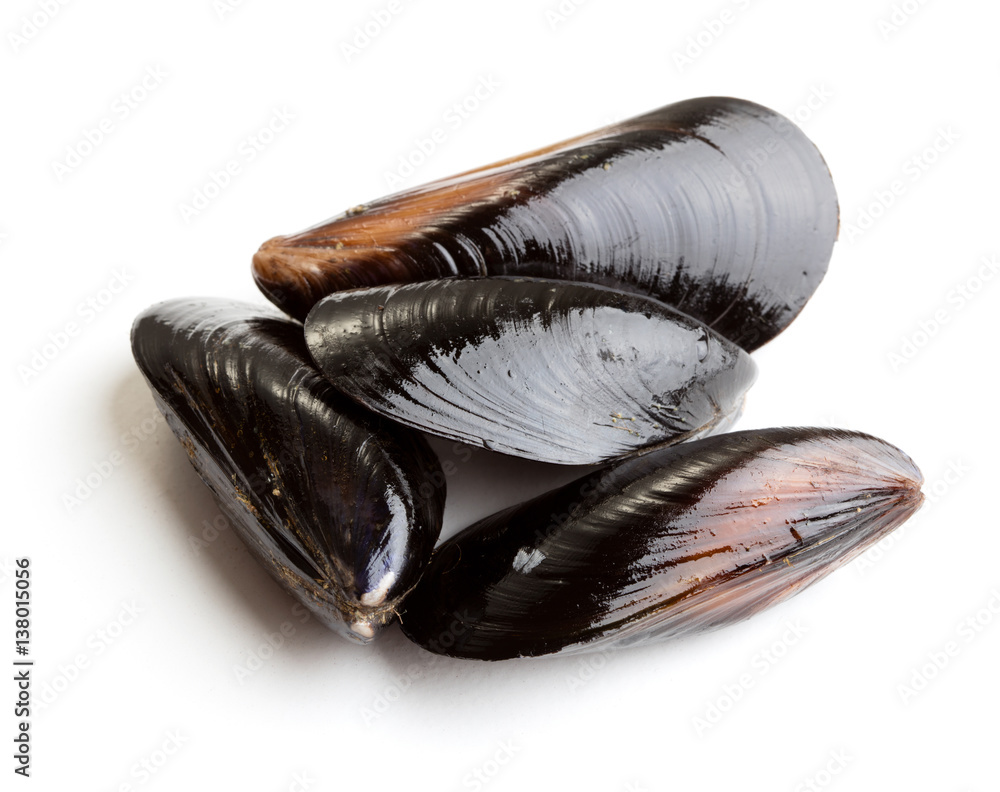 Fotografie Black mussels isolated on white background