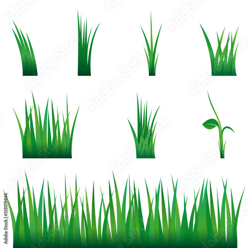 Green Grass, Isolated On White Background, Vector Illustration