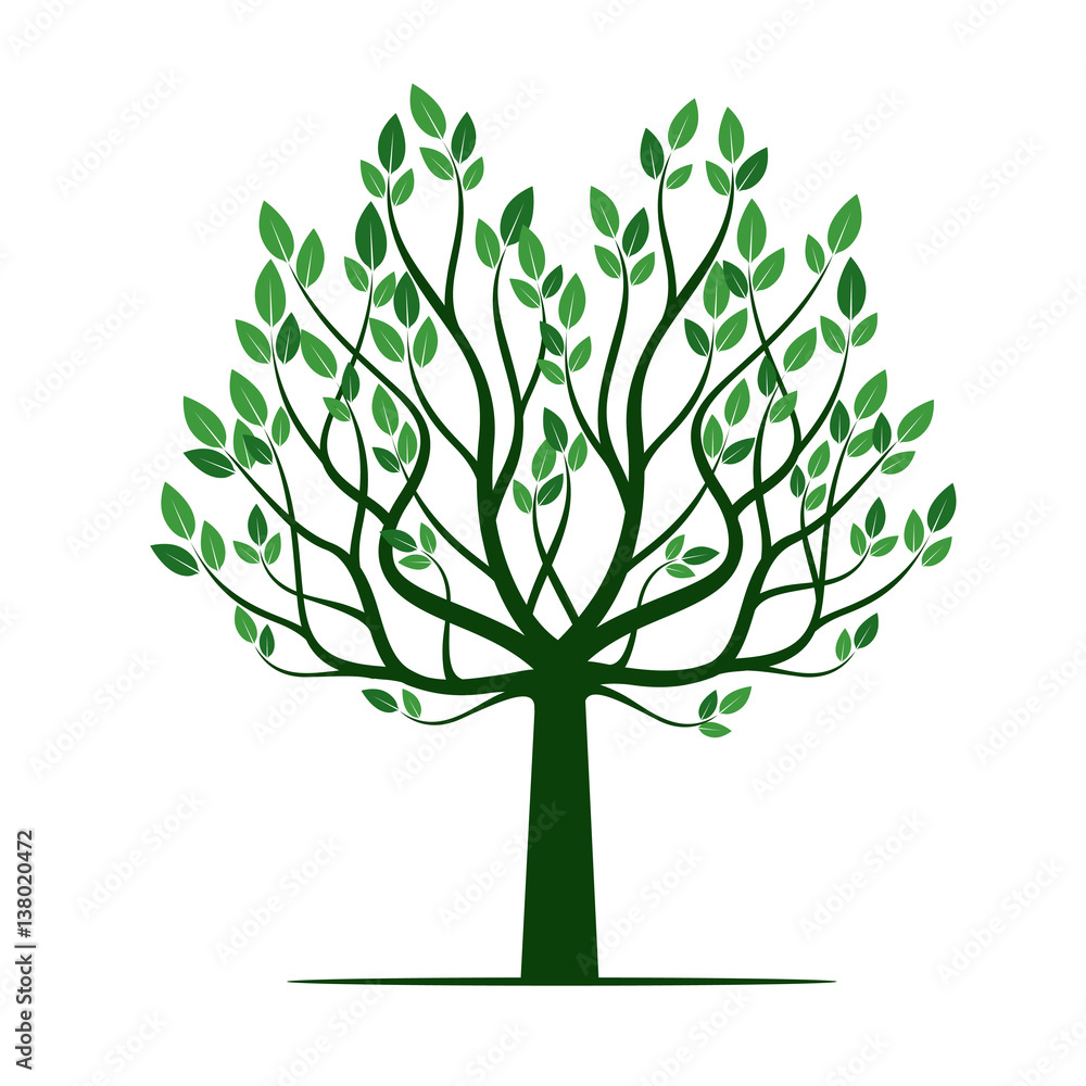 Fototapeta premium Green Tree with Leafs. Vector Illustration.