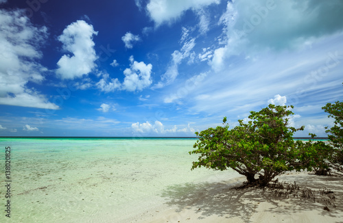 Fototapeta Naklejka Na Ścianę i Meble -  Cayo Coco island beach, Cuba, gorgeous amazing stunning view of cold dark blue dramatic sky's with white fluffy clouds above tranquil turquoise inviting warm ocean