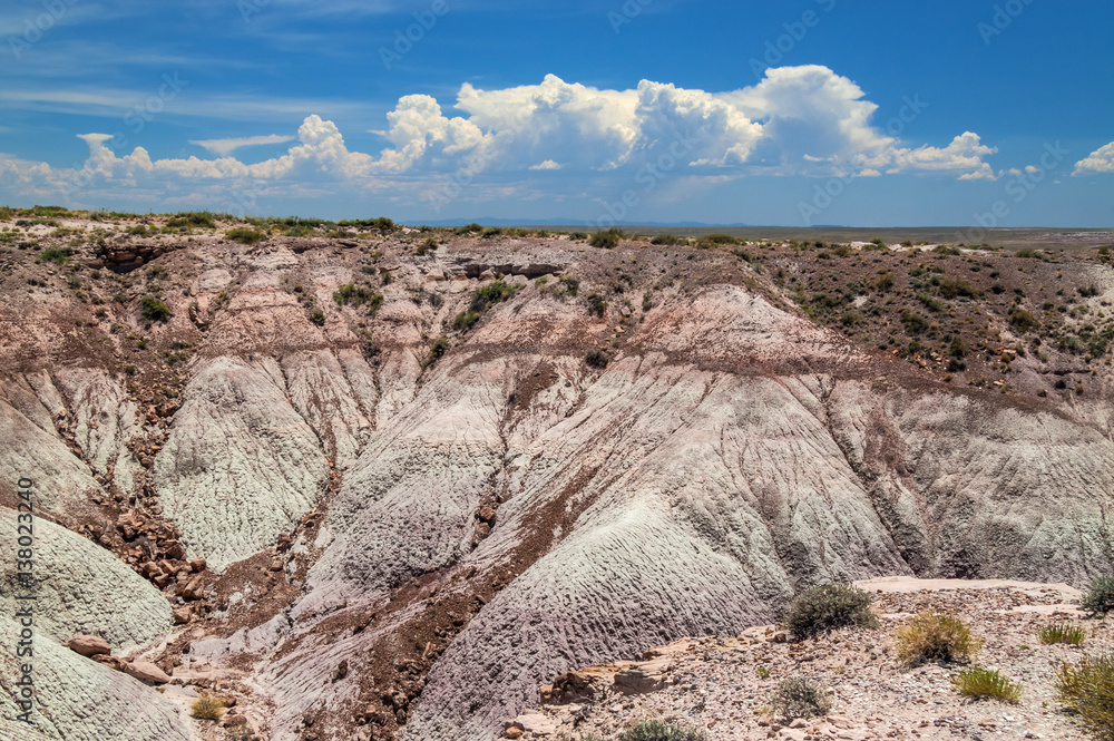 Obraz premium Petrified Forest National Park in Arizona is quite unique with its desert environment and the abundance of petrified wood,