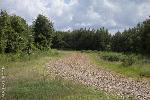 Dirt Road