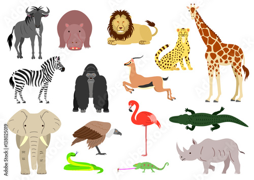 African animal element set on white background