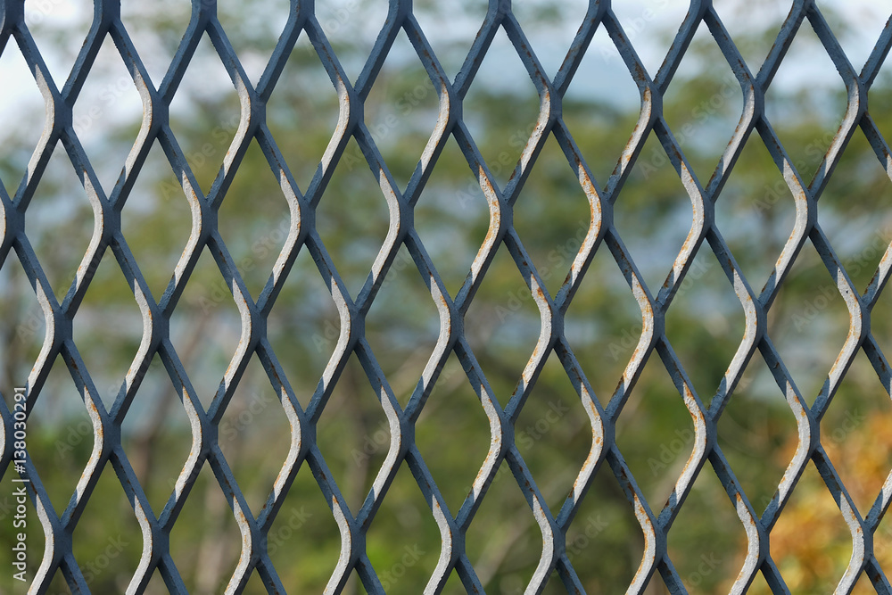 Fototapeta premium wire mesh fence