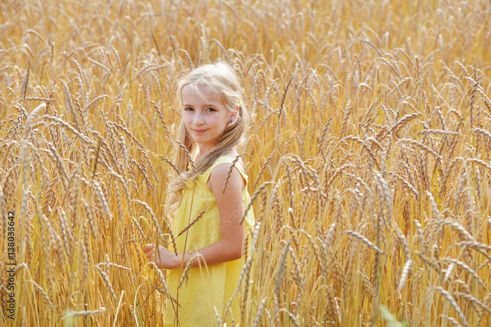 beautiful girl in field beautiful girl in field