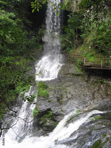 Waterfall in the jungle. Water.