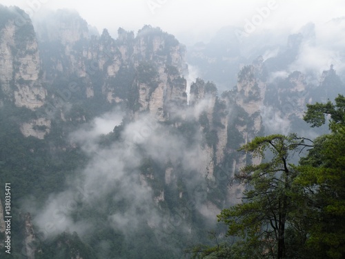Foggy forest. Landscape, mist and mountain. © Xiaoneng