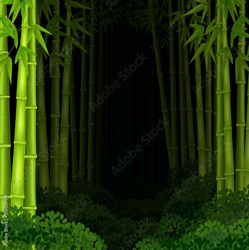 Background bamboo forest at night