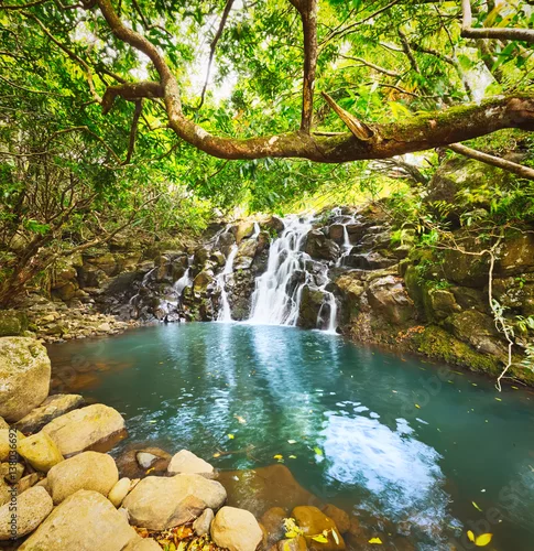 Obraz Wodospad Cascade Vacoas. Mauritius